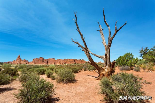 河北省平乡县都有哪些乡镇(河北省邢台市平乡县各村镇历史沿革与来历)(6)