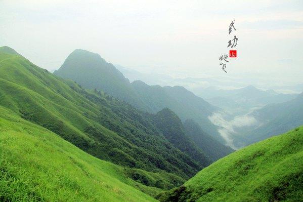 3、周家寨——全国唯一的高山草甸和原始森林群