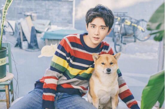 何泓姗个人资料多大 何泓姗是怎么出道和影视作品