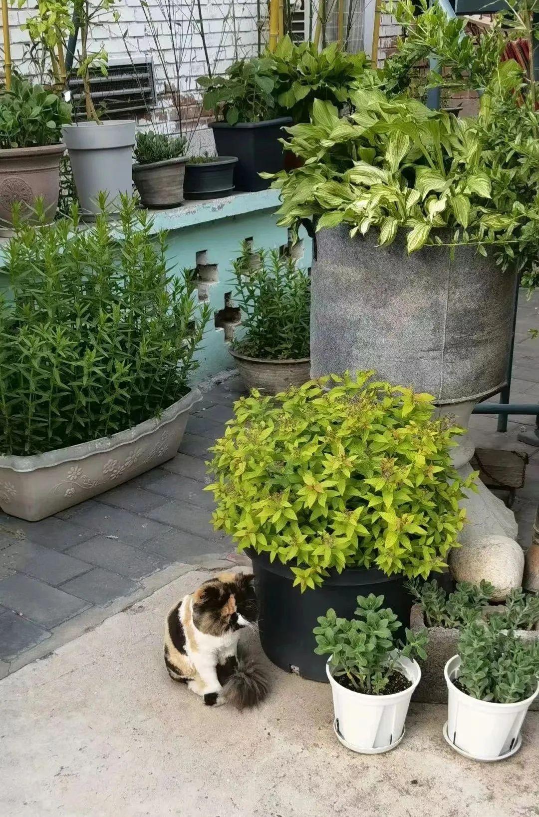 张颂文最爱的女人，早走了……