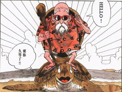 ​龙珠中名副其实的武学宗师-龟仙人