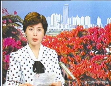 ​央视主持人李瑞英：38岁妈妈在得知儿子坠楼后仍在工作引发公众愤怒，如今情况