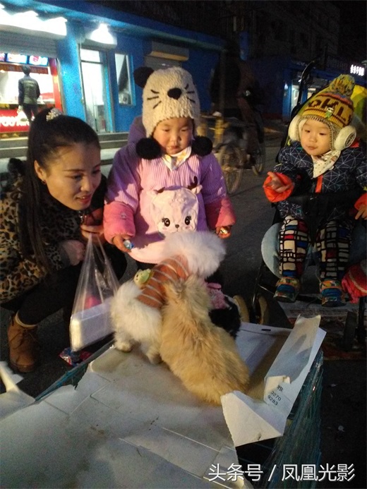 小伙夜里卖狗，国美狗一只才200，小朋友看了后喜欢得都不想走了