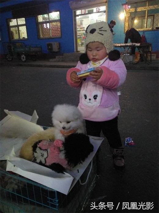 小伙夜里卖狗，国美狗一只才200，小朋友看了后喜欢得都不想走了