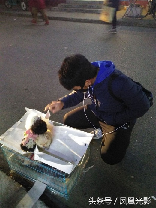 小伙夜里卖狗，国美狗一只才200，小朋友看了后喜欢得都不想走了