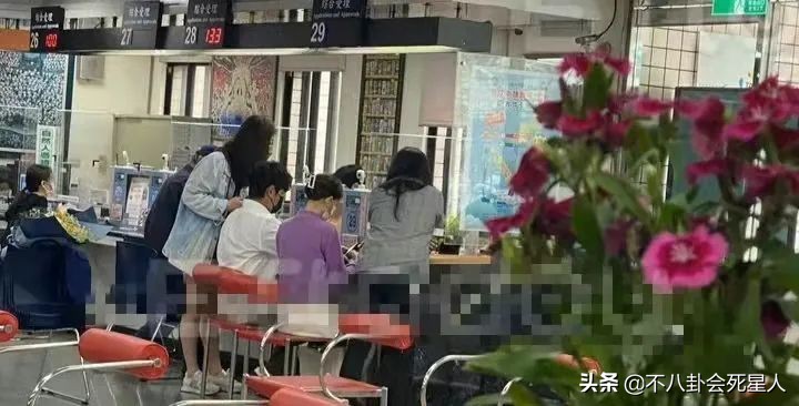 艾伦曾伟昌是做什么工作的(陈乔恩艾伦登记结婚)