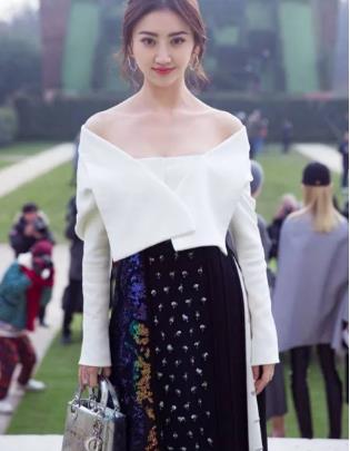 小s大s最近综艺节目叫什么 小S和大S是什么关系