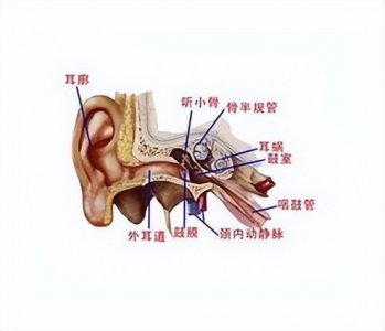​外耳道炎，不是小病一场！——了解它的类型、危害、预防和治疗