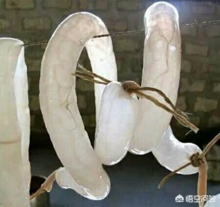 ​古代的人都是怎么避孕的（古代人是怎样避孕的）