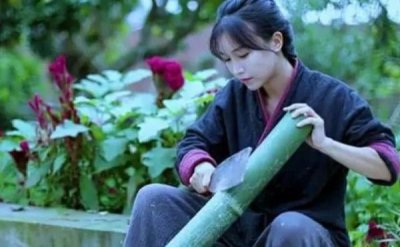 ​李子柒:14岁北漂，17岁当DJ，央视点评表扬的网红，如今身家过亿