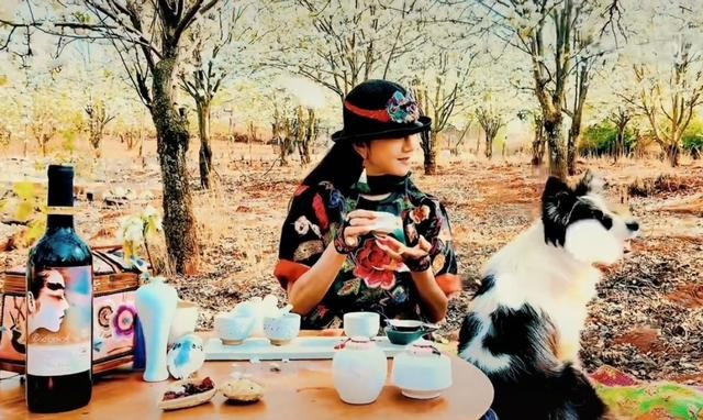 杨丽萍近照生活照很老吗(63岁杨丽萍湖景豪宅内景曝光)