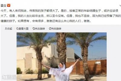 ​袁立回应生子传闻说了什么出道多年的袁立有孩子了吗