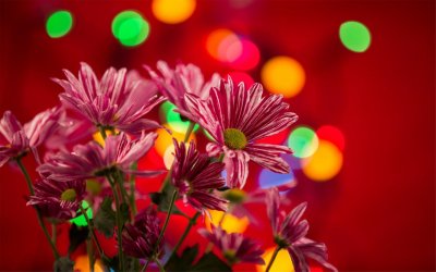 ​党的发展历史简介（党的发展历史简介内容）