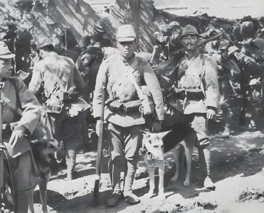 ​【独家揭秘】揭开历史真相：抗日神剧不敢展现的鬼子进村场景！