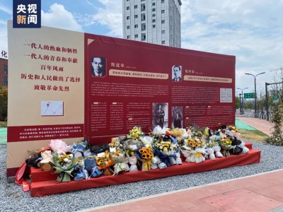 ​陈延年简介（95年前的今天，29岁的陈延年壮烈牺牲）