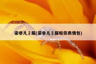 ​梁非凡吔屎(梁非凡吔屎啦你表情包)