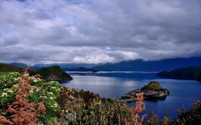 ​笑不活了！汪俊前妻确实是复旦大厨房阿姨，真实照片曝光！