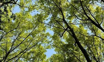 ​心机女人的四个特点，你一定要看清！