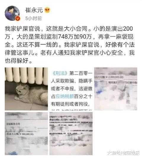 崔永元为什么有范冰冰的合同（崔永元告发范冰冰偷税漏税事件）