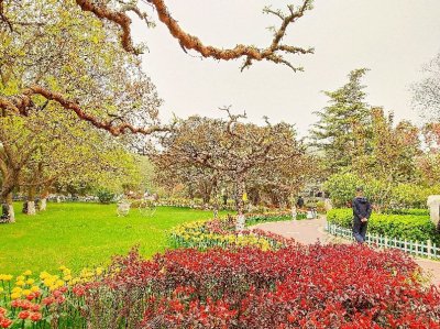 ​兰州金城公园风景