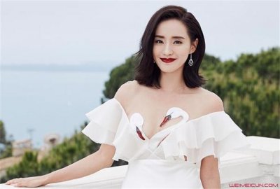 ​王智老公，白冰为什么离的婚