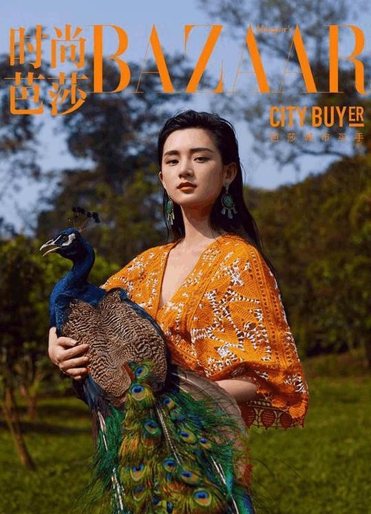 陈丹婷整容前旧照曝光（陈丹婷翻版杨幂快分不清谁）