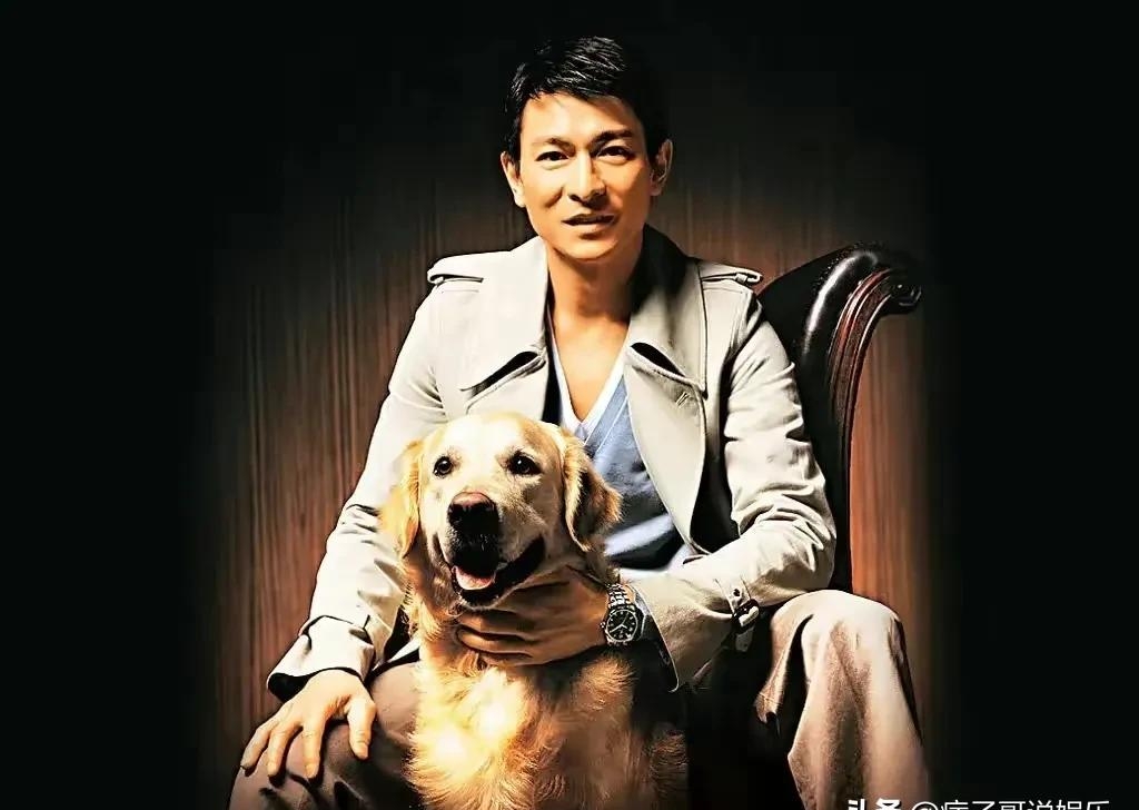 中国好声音有哪些明星去过(哪些明星去参加过中国好声音) 明星 第6张 中国好声音有哪些明星去过(哪些明星去参加过中国好声音) 明星 第6张