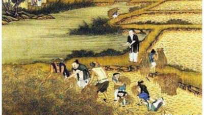 ​兵马未动粮草先行什么意思（古代打仗粮草的重要性）