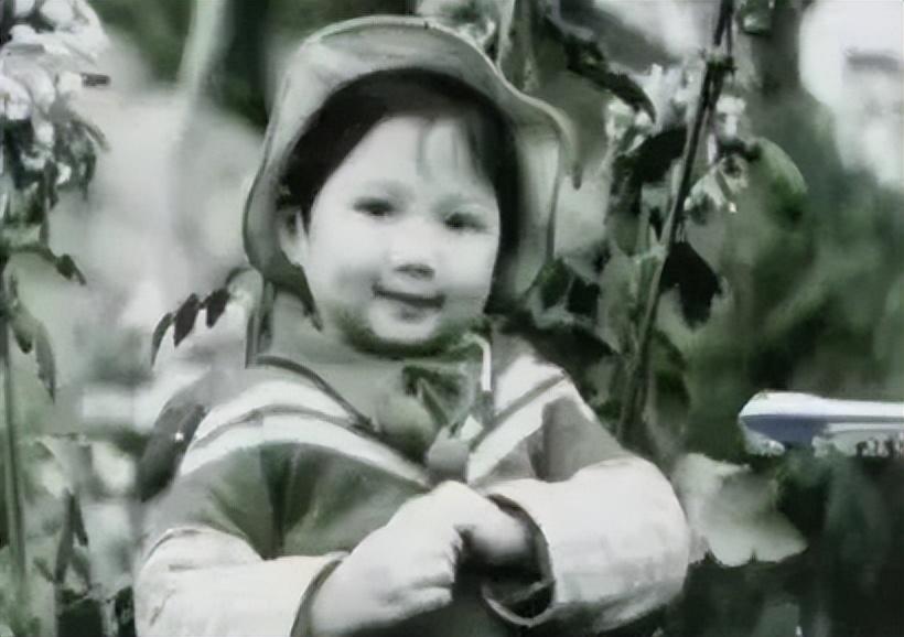 殷桃个人资料简介及家世(43岁殷桃二度“封后”揭露“强者法则”:不断开疆拓土的人生,才是真牛)