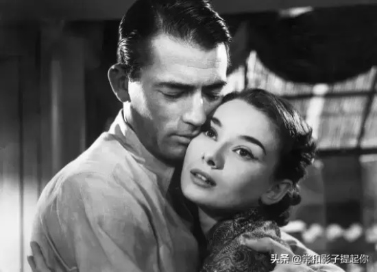 适合男生看的片子有哪些(男生看的10大佳片推荐)