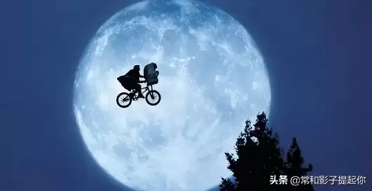 适合男生看的片子有哪些(男生看的10大佳片推荐)