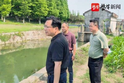 ​苏州太平街道主要领导开展巡湖检查工作