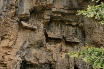 ​慈溪黄瓜门 宁波黄瓜