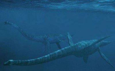 ​长白山天池水怪是什么动物？抓住了？竟是长达数十