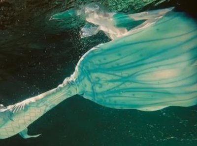 ​世界最长跨海高速铁路桥——杭州湾跨海铁路桥海上工程首桩开钻