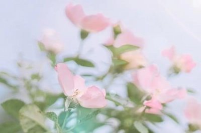 ​孙燕姿埃及事件真相 受到惊吓孙燕姿为什么突然消失了