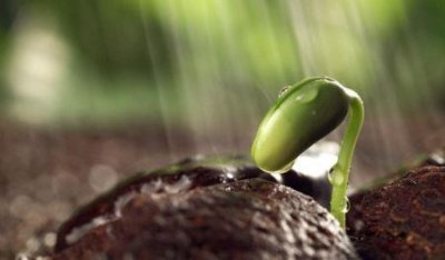 ​兵马俑灵异事件 97年盗墓者被兵马俑活活打死