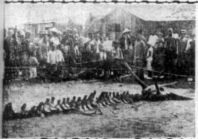 ​农村的祭祀习惯，人不吃的东西不能给逝者当祭品，尤其是这两种肉