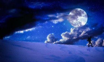 ​世界上最大的猪，竟然重1800斤，霸气，大开眼界！