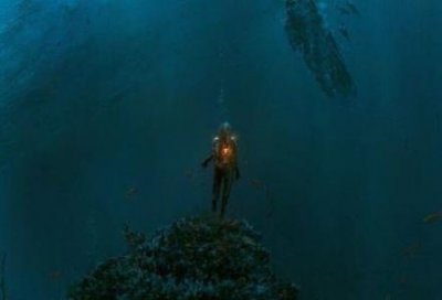 ​猫叫的音频能吓走老鼠吗？