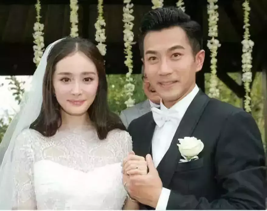 杨幂跟谁结婚了（杨幂刘恺威离婚背后的对赌协议）