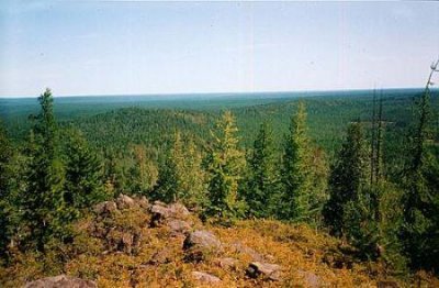 ​活剥小猫 活剥小猫的人渣现在怎么样