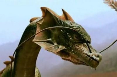 ​为什么国家要隐瞒龙 四大真龙现身事件真相 揭露龙是真的存在的