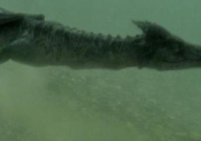 ​香港三大家族 香港三大家族是哪位？