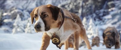 ​关于雪橇狗的电影（野性的呼唤观影报告）