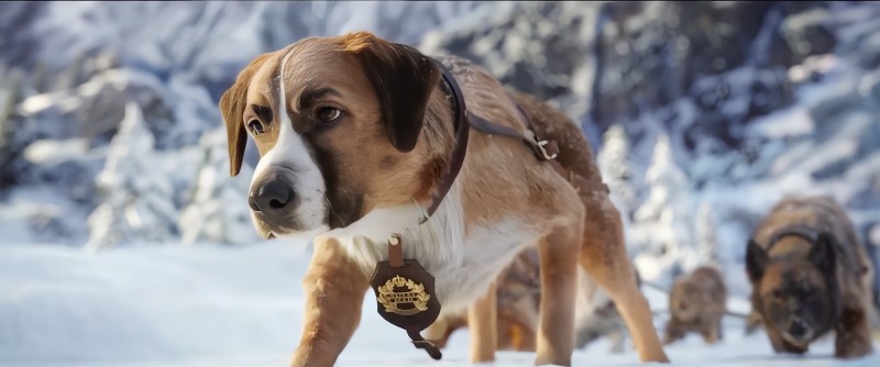 关于雪橇狗的电影(野性的呼唤观影报告)