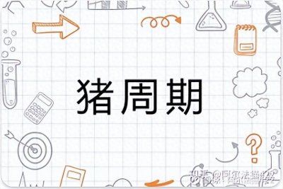 ​知史鉴今——历史上的猪周期来自阿尔法猫422的雪球专栏