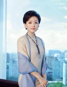 ​杨澜：从央视舞台到商业传奇，争议背后的璀璨人生