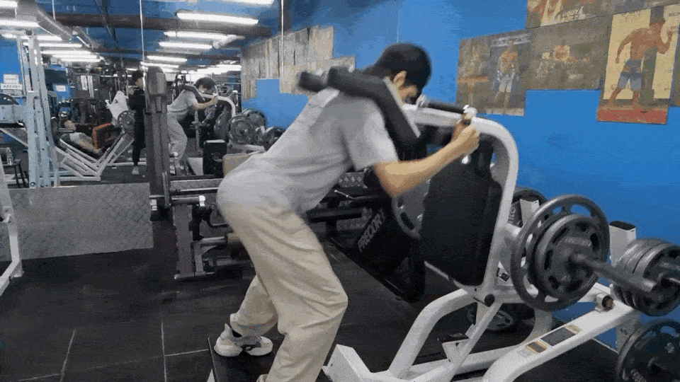 张新成晒深蹲动图回应屁垫争议 调侃哈克深蹲终究输给了哈尔滨的风