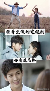 ​推哥主演的电视剧，你看过几部？哪一部最好看？